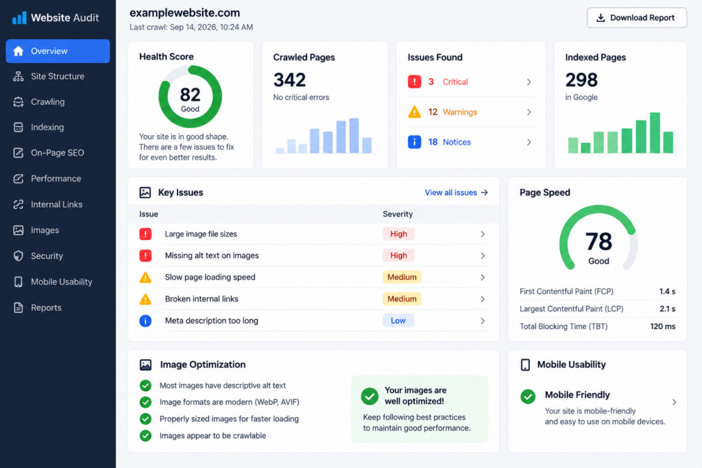 SEO audit dashboard showing technical website and image optimization issues